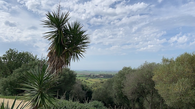 2DFF93C3-6374-41D3-9534-7271C6DEDACF