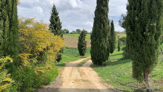 7D2BD0E9-DB64-4F2E-B3B2-3DE96E32416F